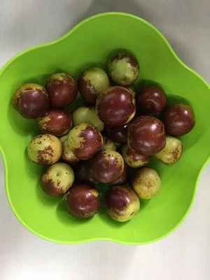 哪里的冬棗最好?山東沾化、河北黃驊、陜西大荔,還是山西、新疆江西或其他地方?