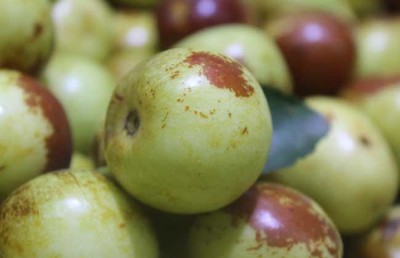 冬棗的功效與作用有哪些?